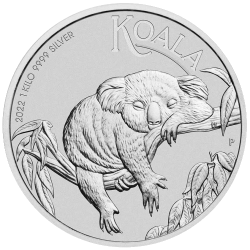 Koop de 1 KG zilveren Koala 2022 bij Goudwisselkantoor